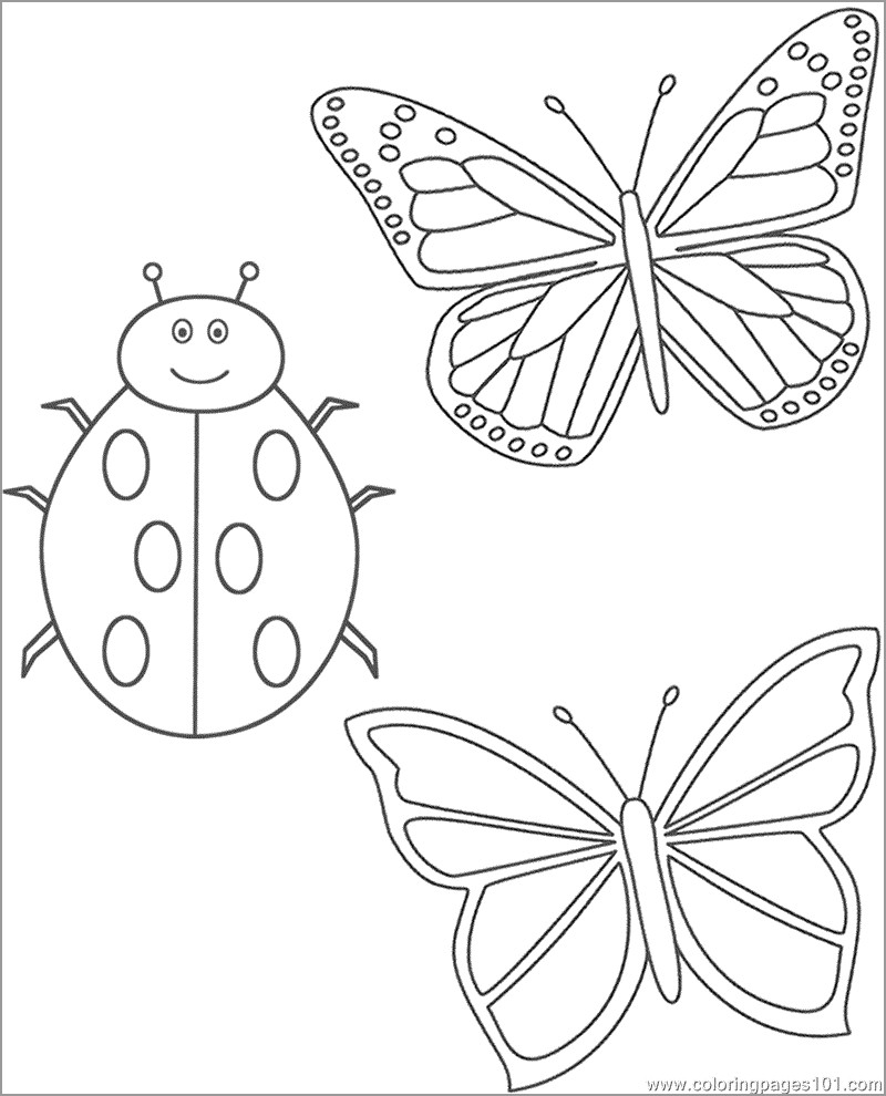 Ladybug and butterfly Coloring Page