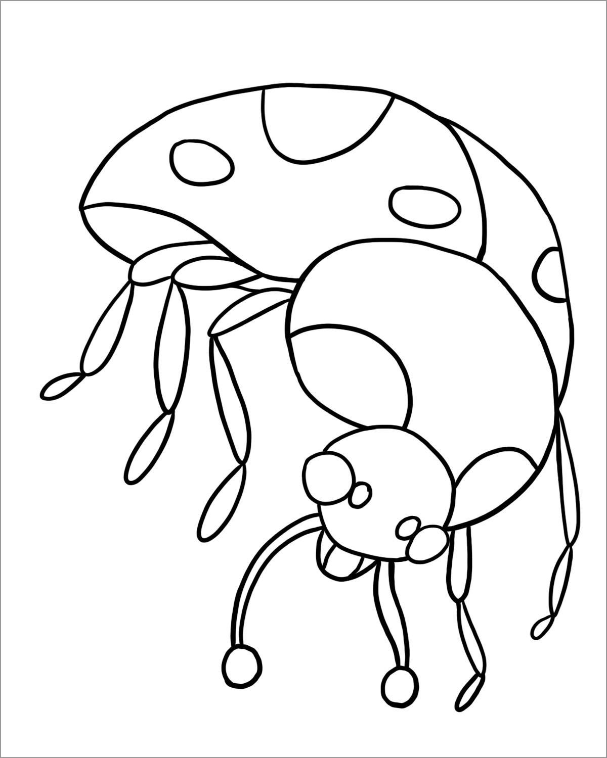 Ladybug Coloring Page for Adults