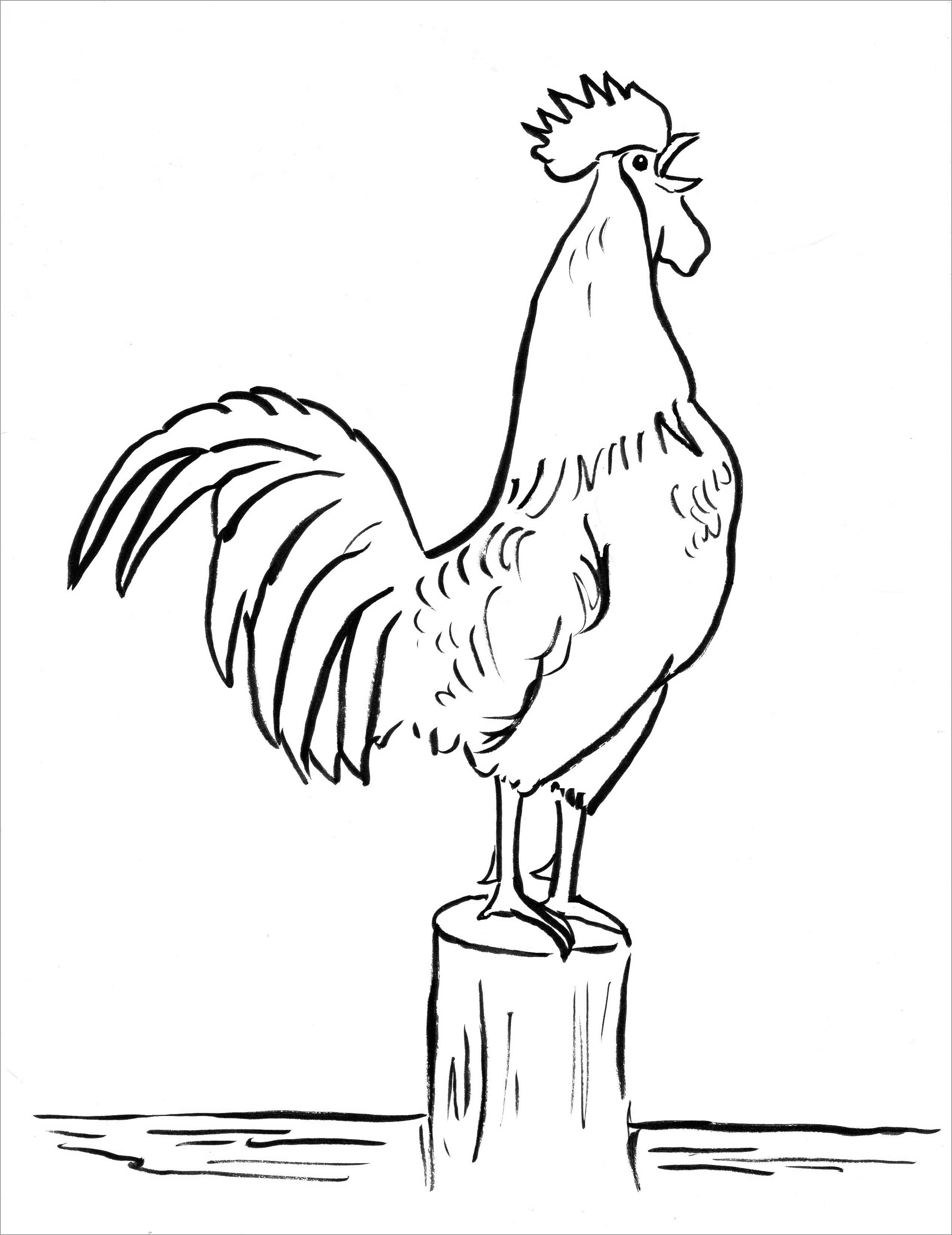 Large Rooster Coloring Page