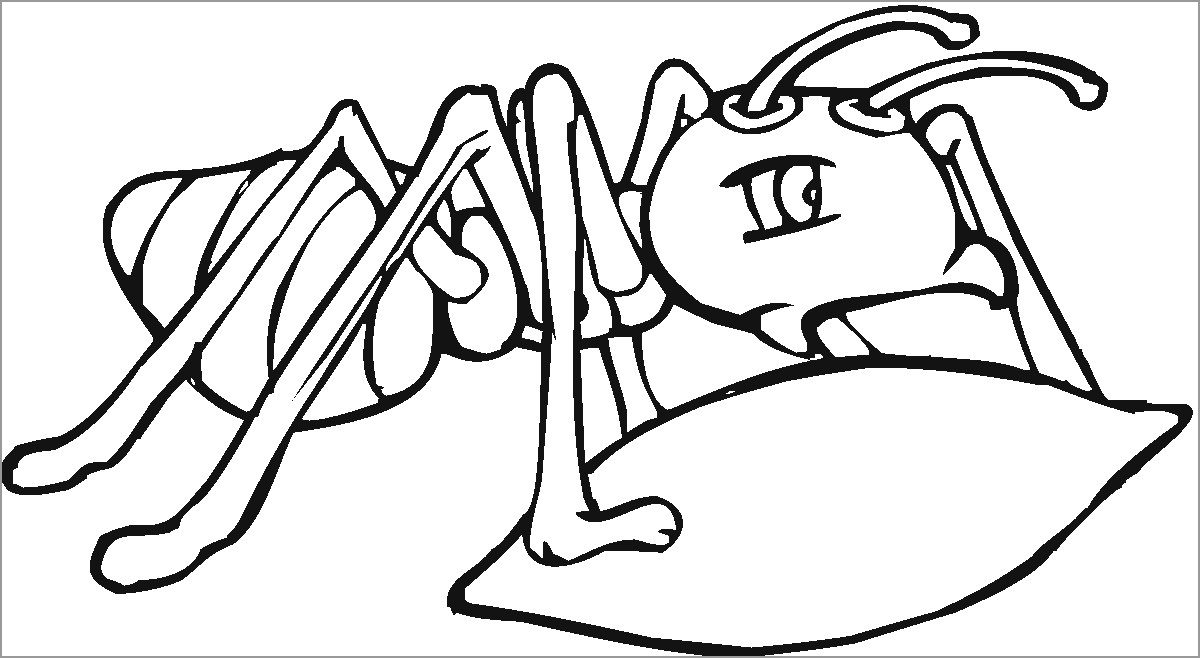 Leaf Cutter Ant Coloring Page