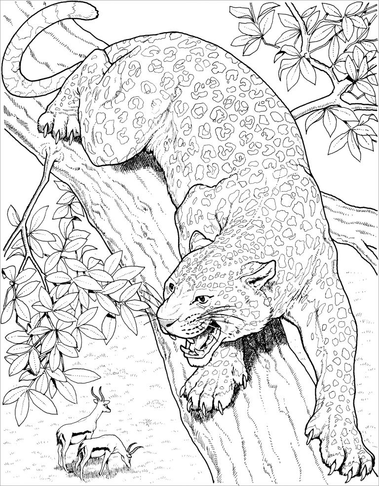 Leopard Coloring Pages for Adults - ColoringBay