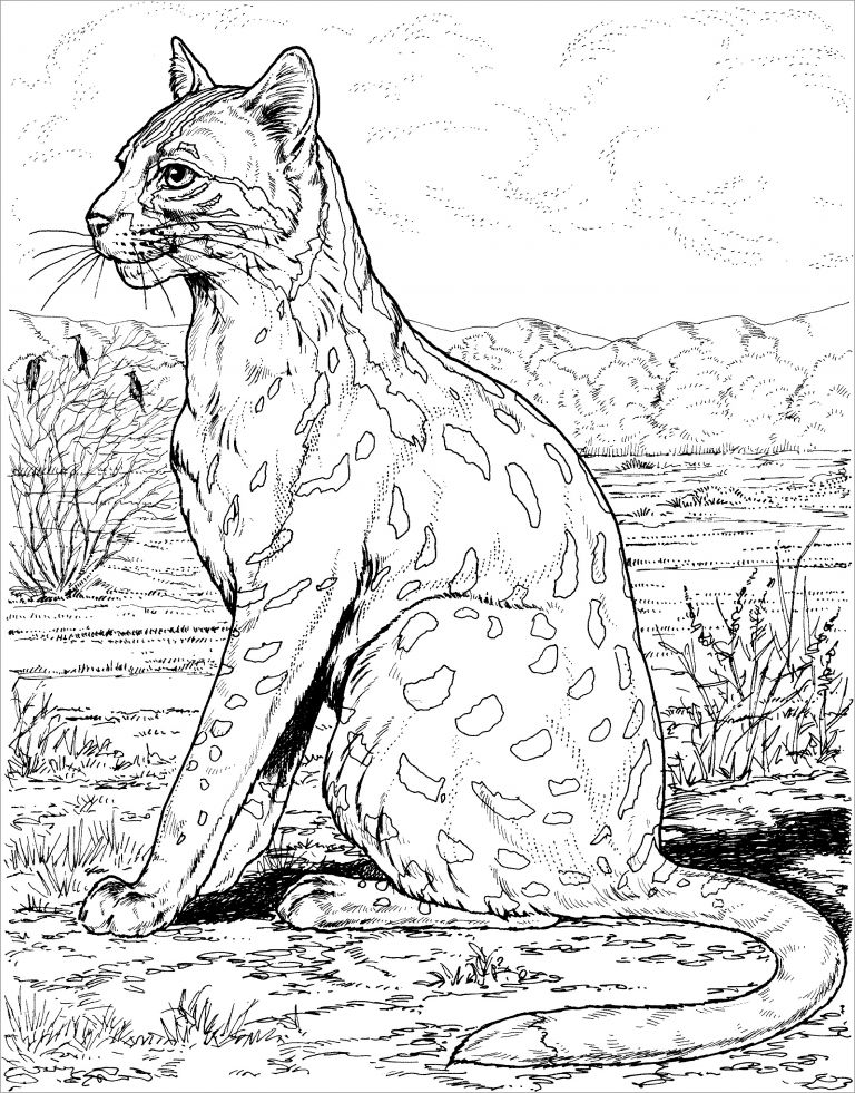 Baby Leopard Coloring Page - ColoringBay