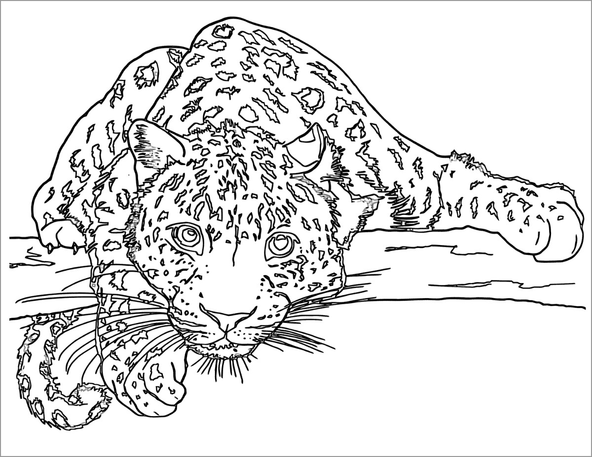 Leopard On Tree Coloring Pages