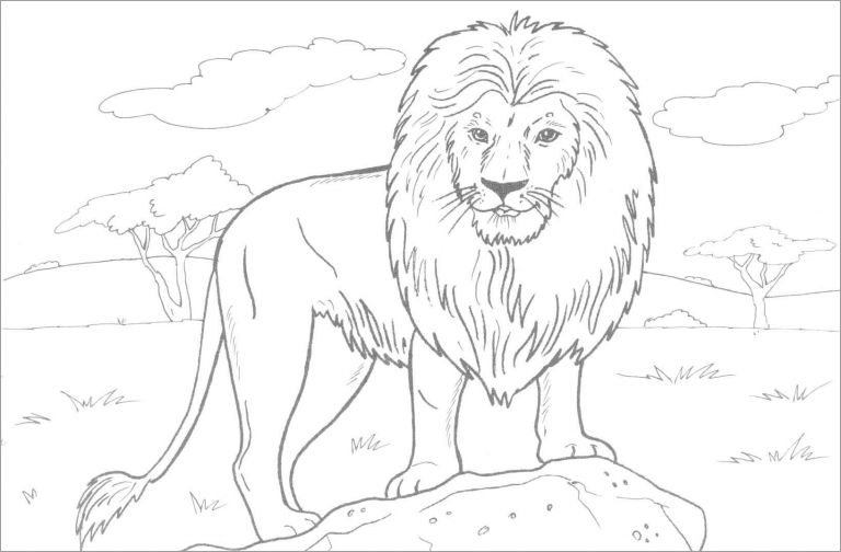 Lion Dangerous Animals Coloring Page - ColoringBay