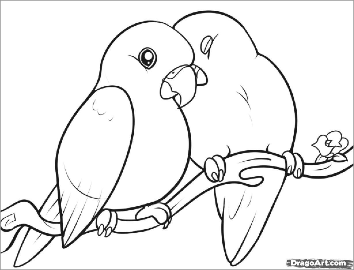 Love Bird Coloring Pages