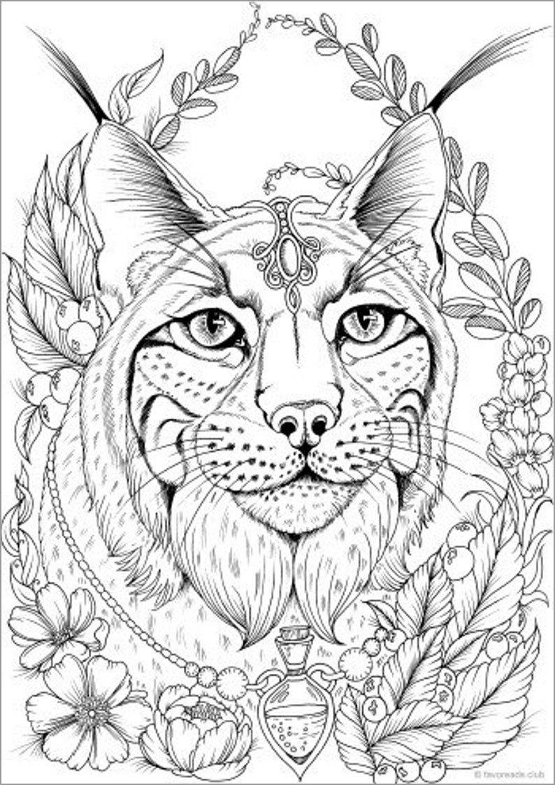 Lynx Head Coloring Page for Adults