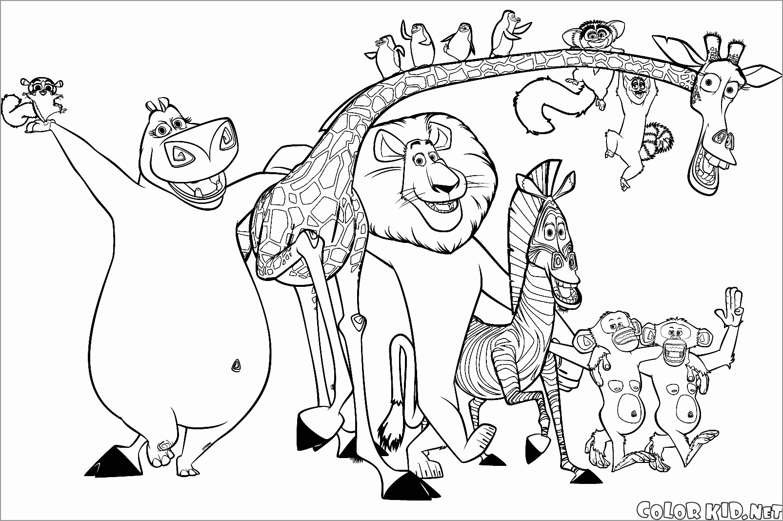 Madagascar Animals Coloring Page for Adult