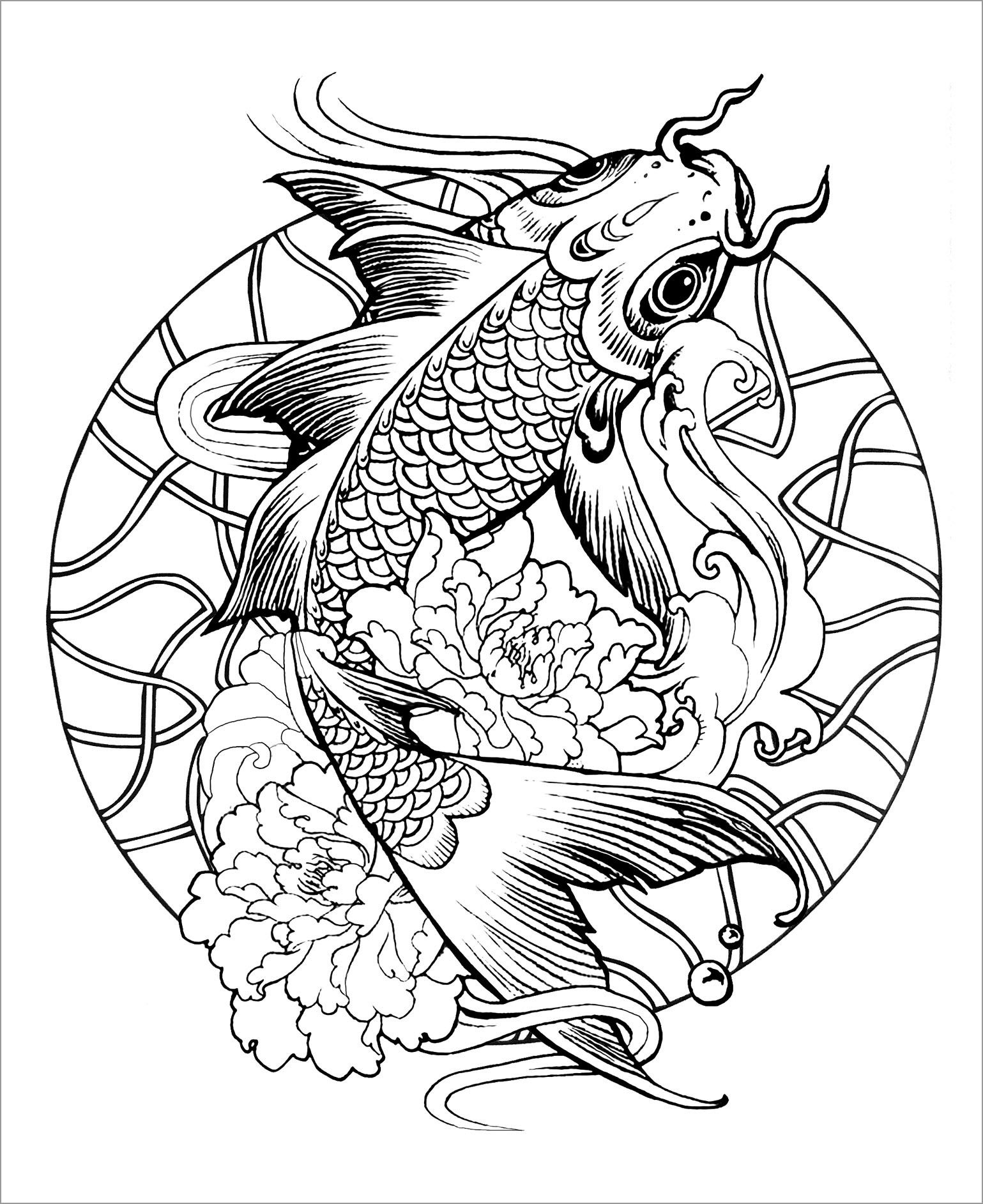 Download Carp Coloring Pages - ColoringBay