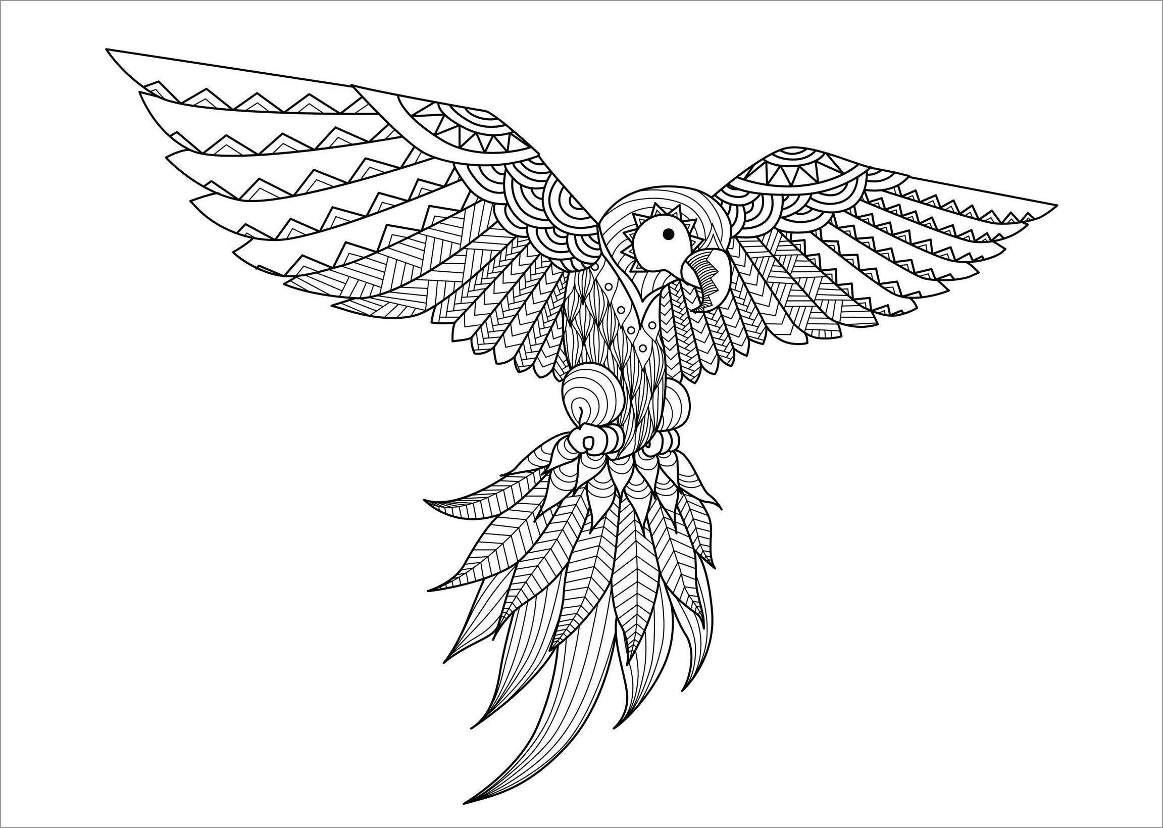 Mandala Flying Parrot Coloring Pages for Adults