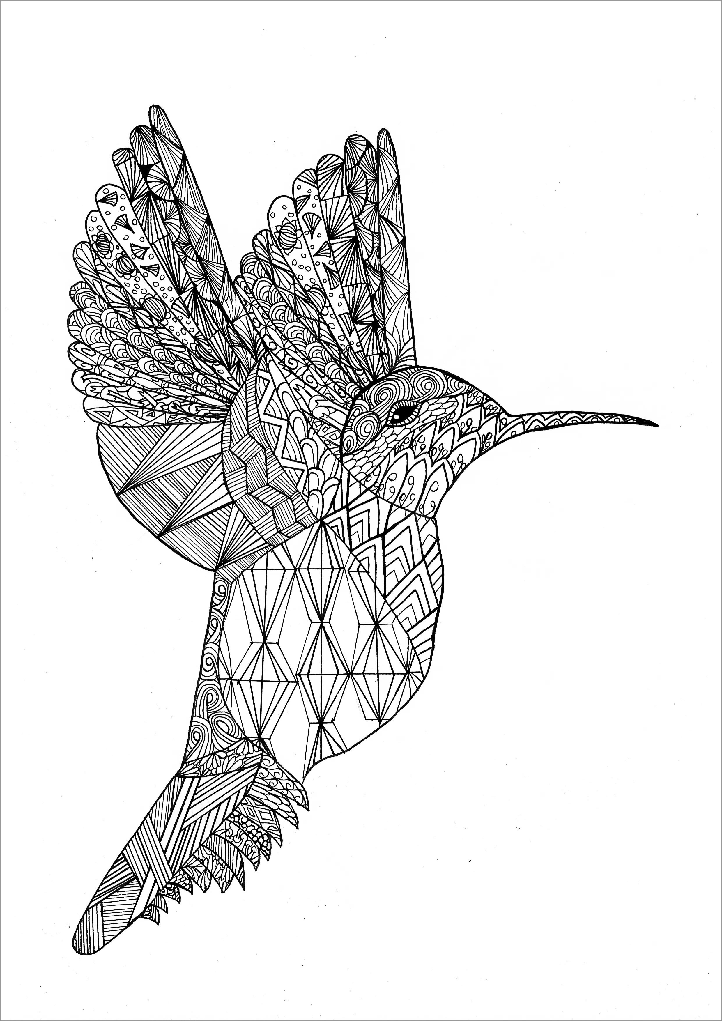 Mandala Hummingbird Coloring Page for Adults