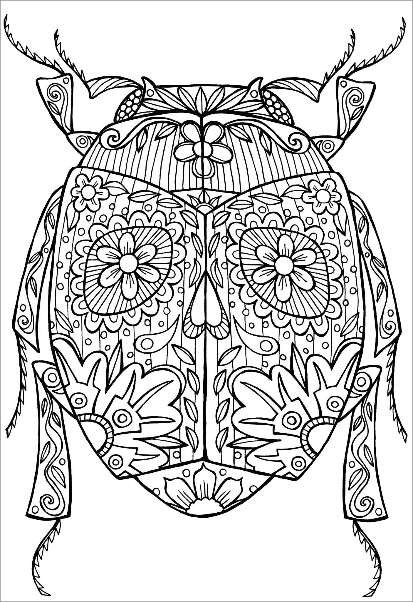 Mandala Insects Coloring Pages for Adults