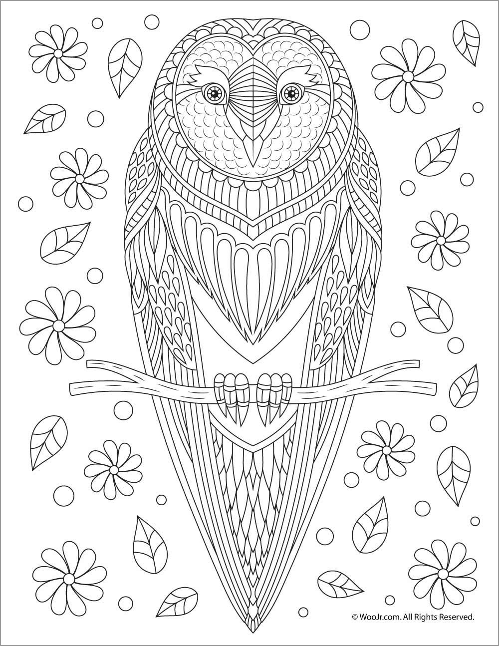 Mandala Owl Coloring Page for Adults