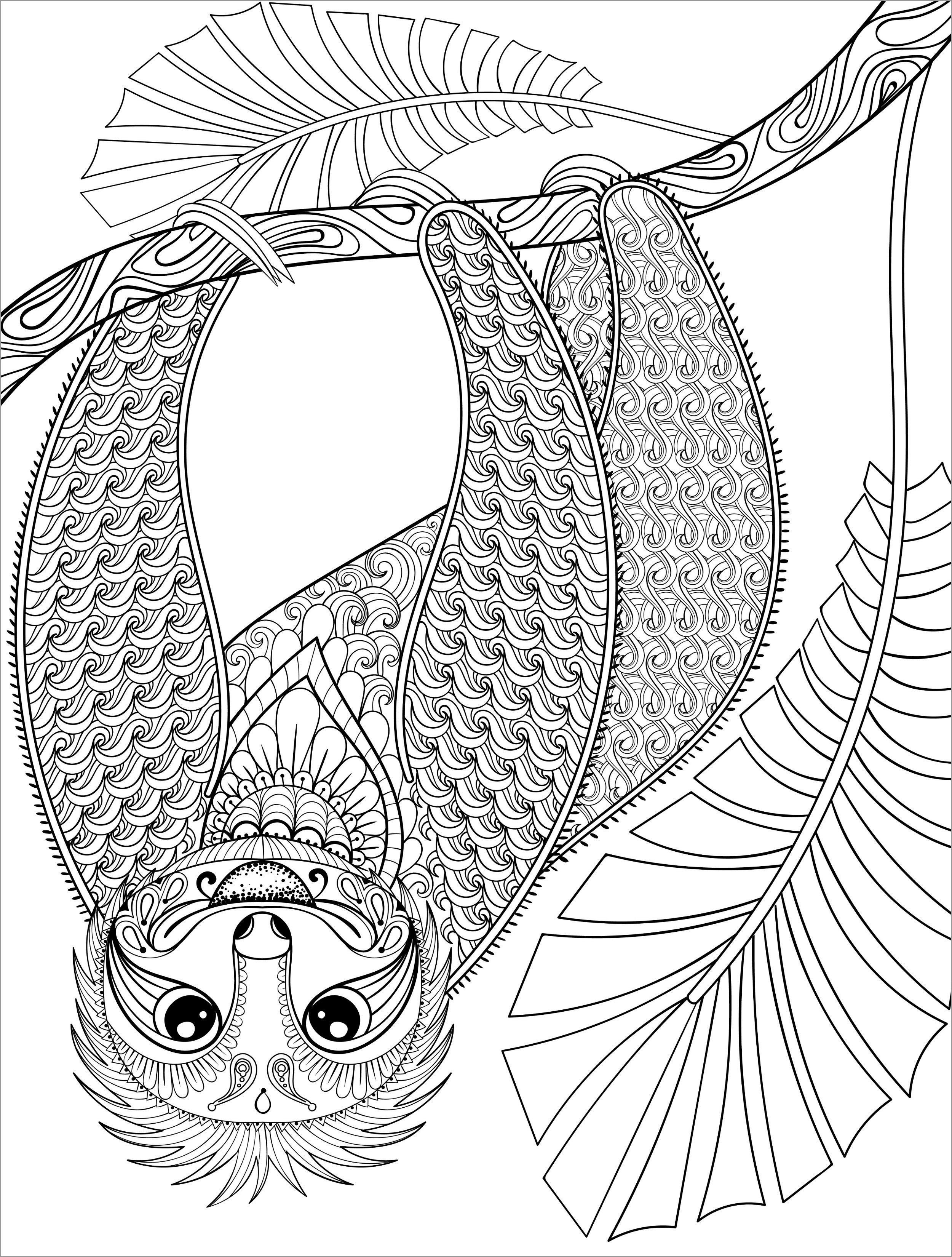 Mandala Sloths Coloring Page for Adult