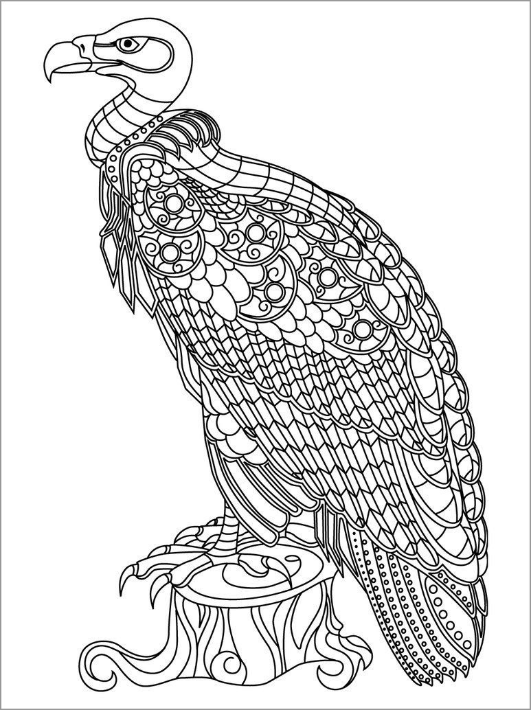 Mandala Vulture Coloring Page for Adult