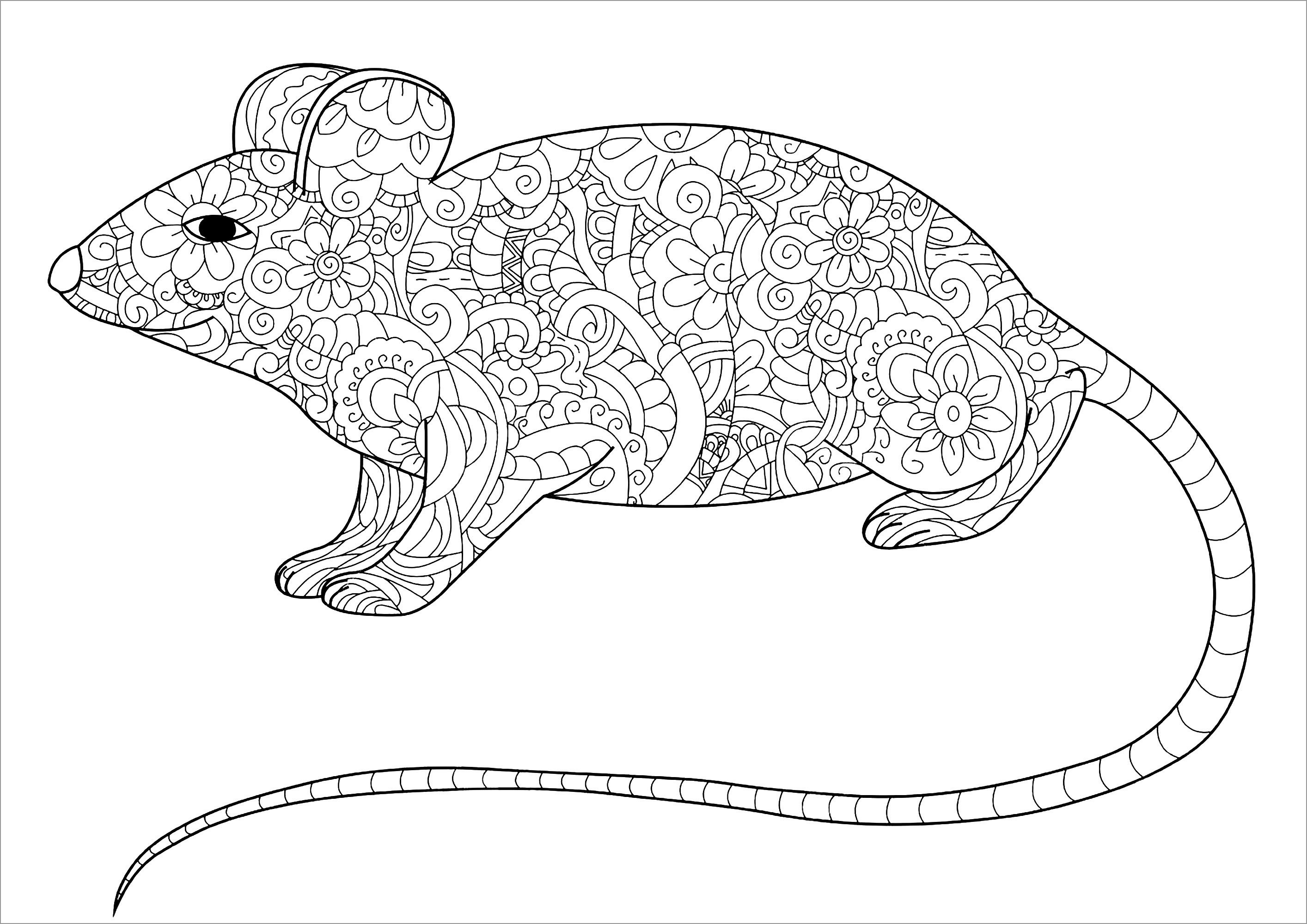 Mandala Zentangle Rat Coloring Page for Adult