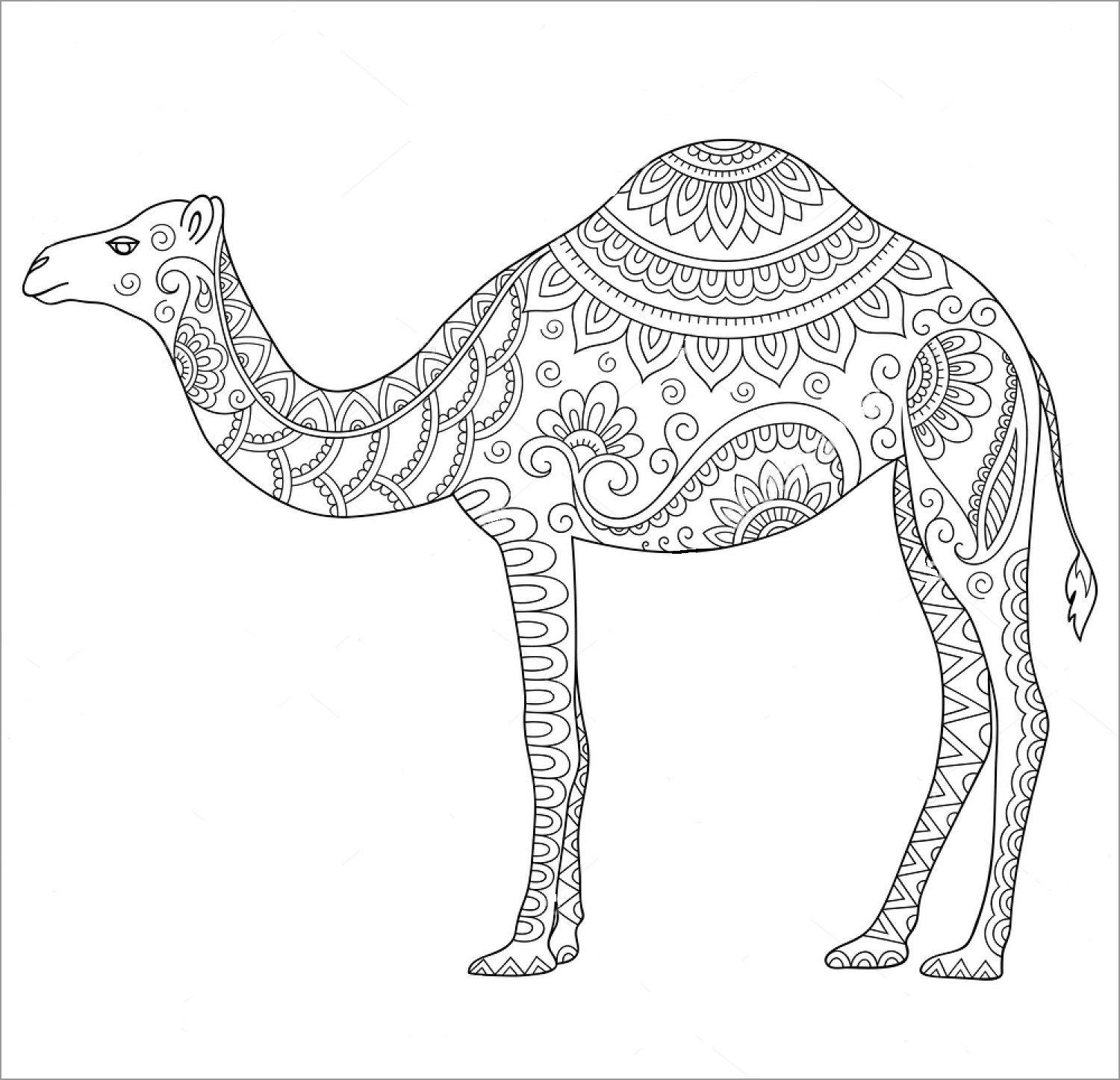 Mandalas Camel Coloring Page for Adult