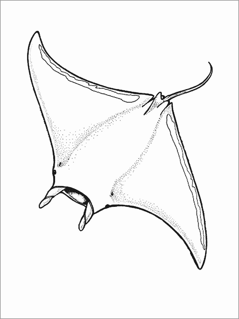 Ray Coloring Pages