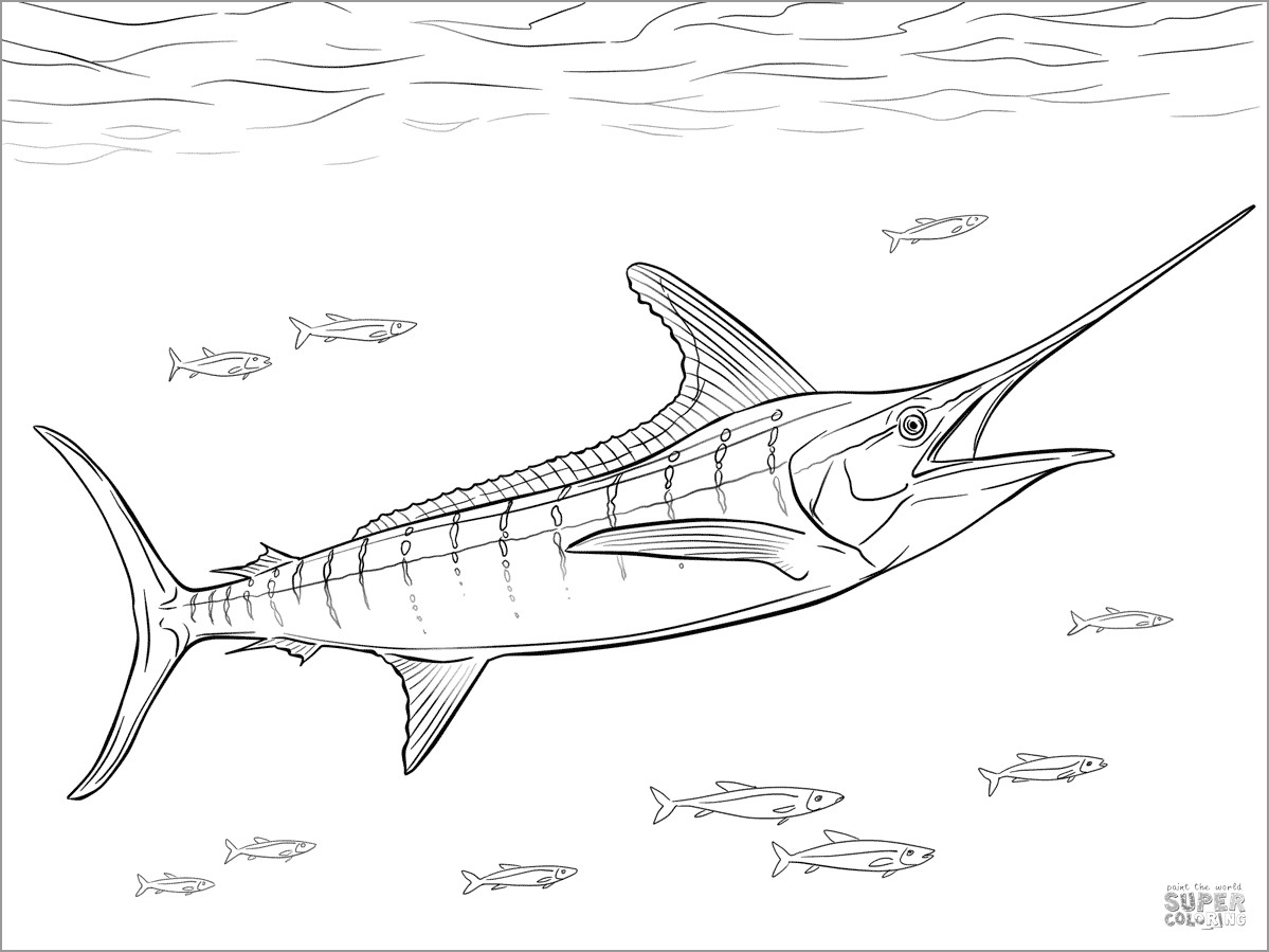 Marlin Coloring Page to Print
