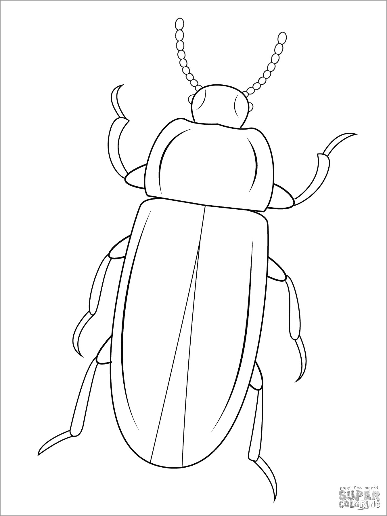 Mealworm Beetle Coloring Page