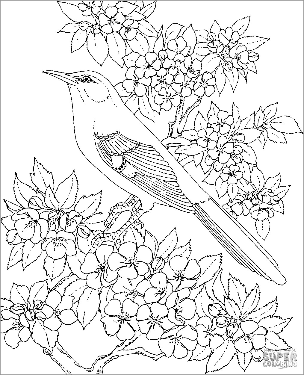 Mockingbird Coloring Page for Adults