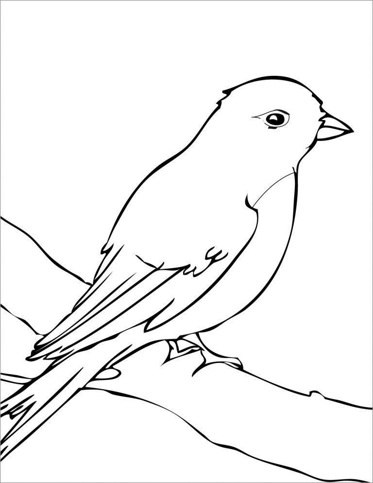 Mockingbird Coloring Page for Kids - ColoringBay