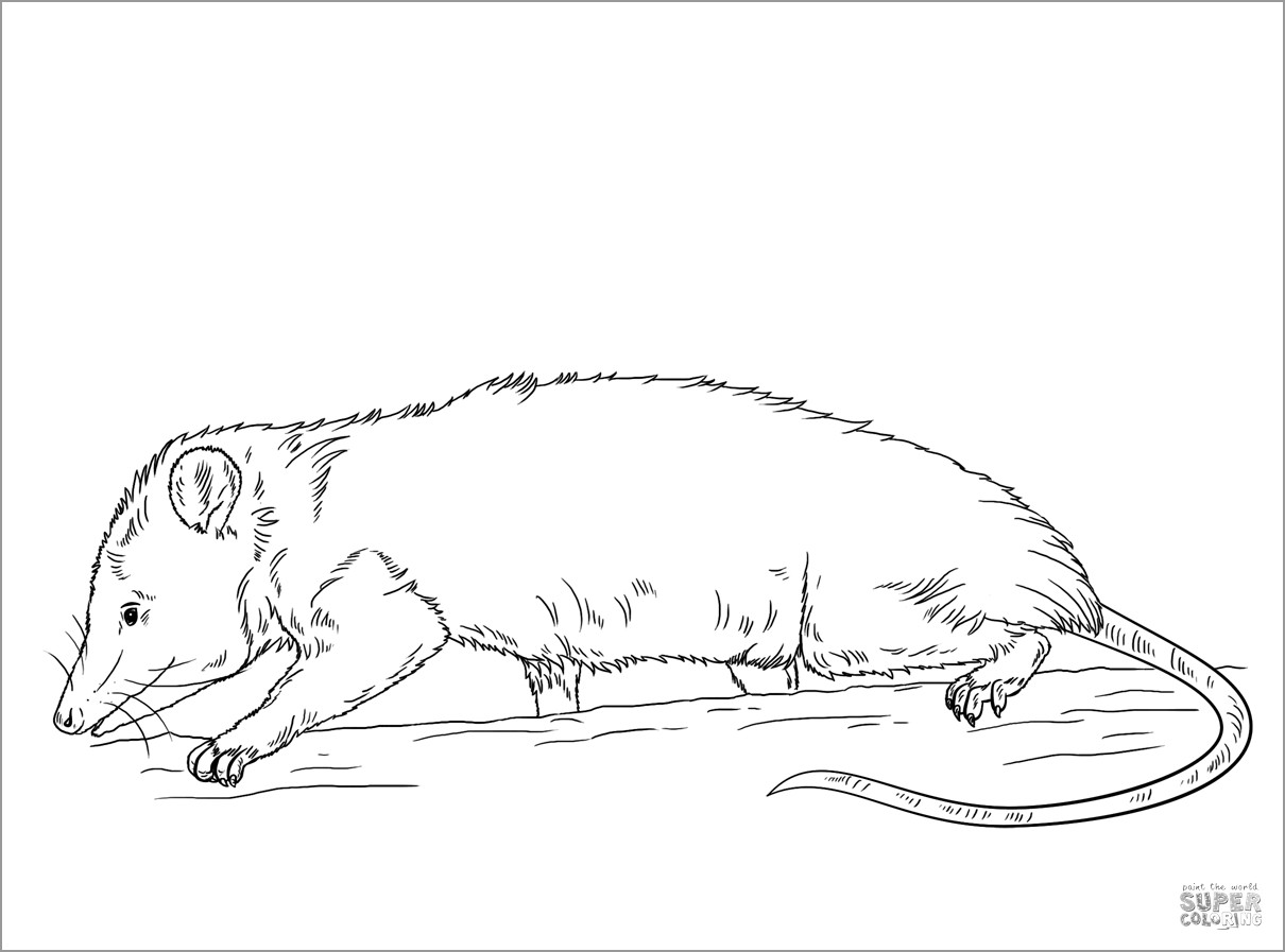 Mole Rat Coloring Page for Adult