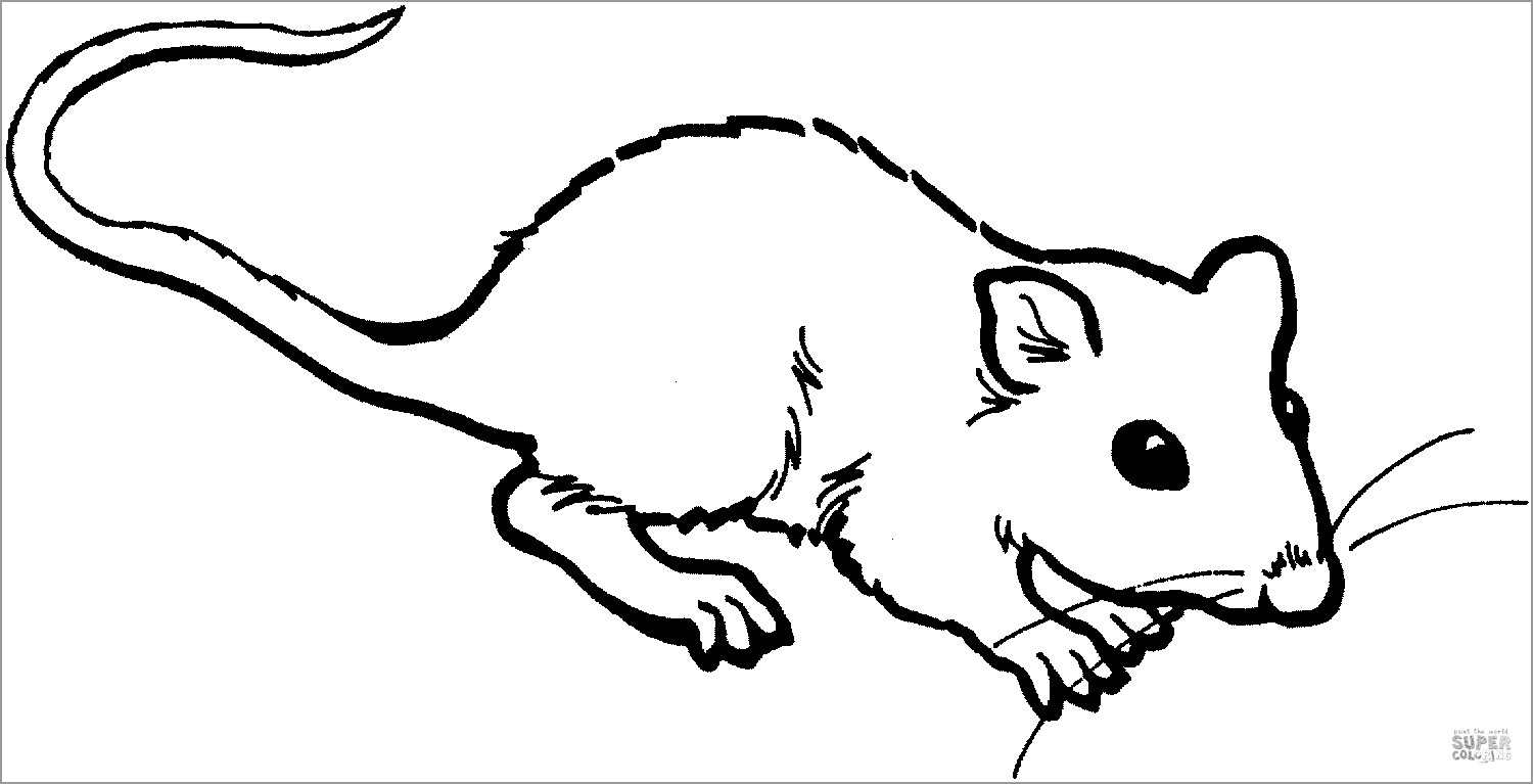 Mole Rat Coloring Page for Kids