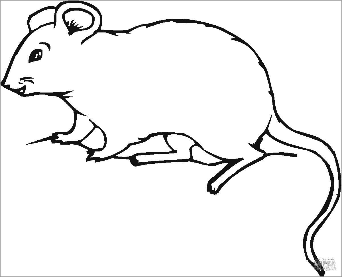 Mole Rat Coloring Page to Print