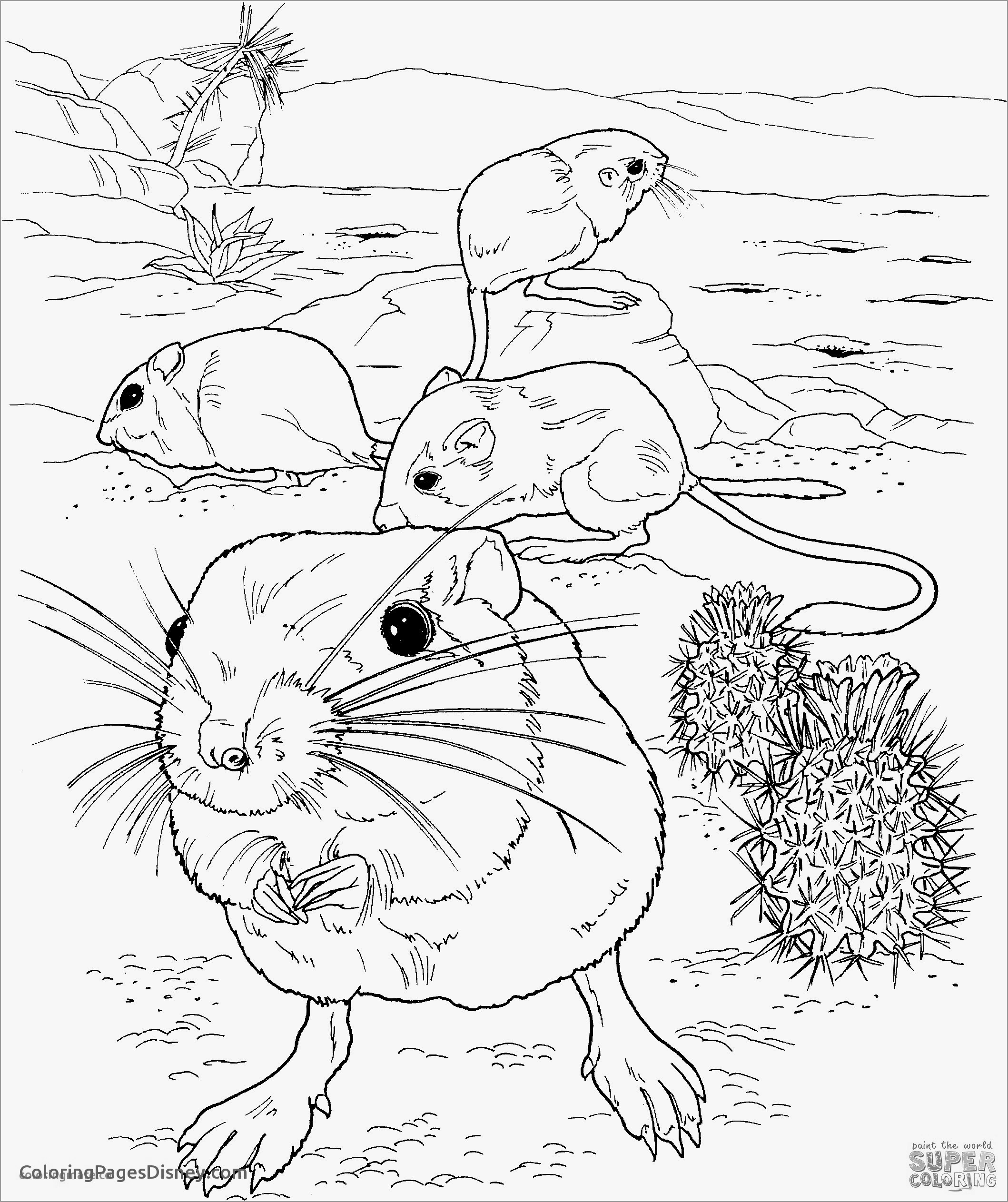 Mole Rat On the Ground Coloring Page
