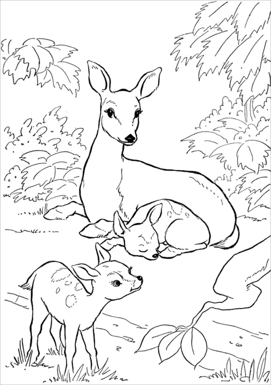 Moms and Baby Deer Coloring Page