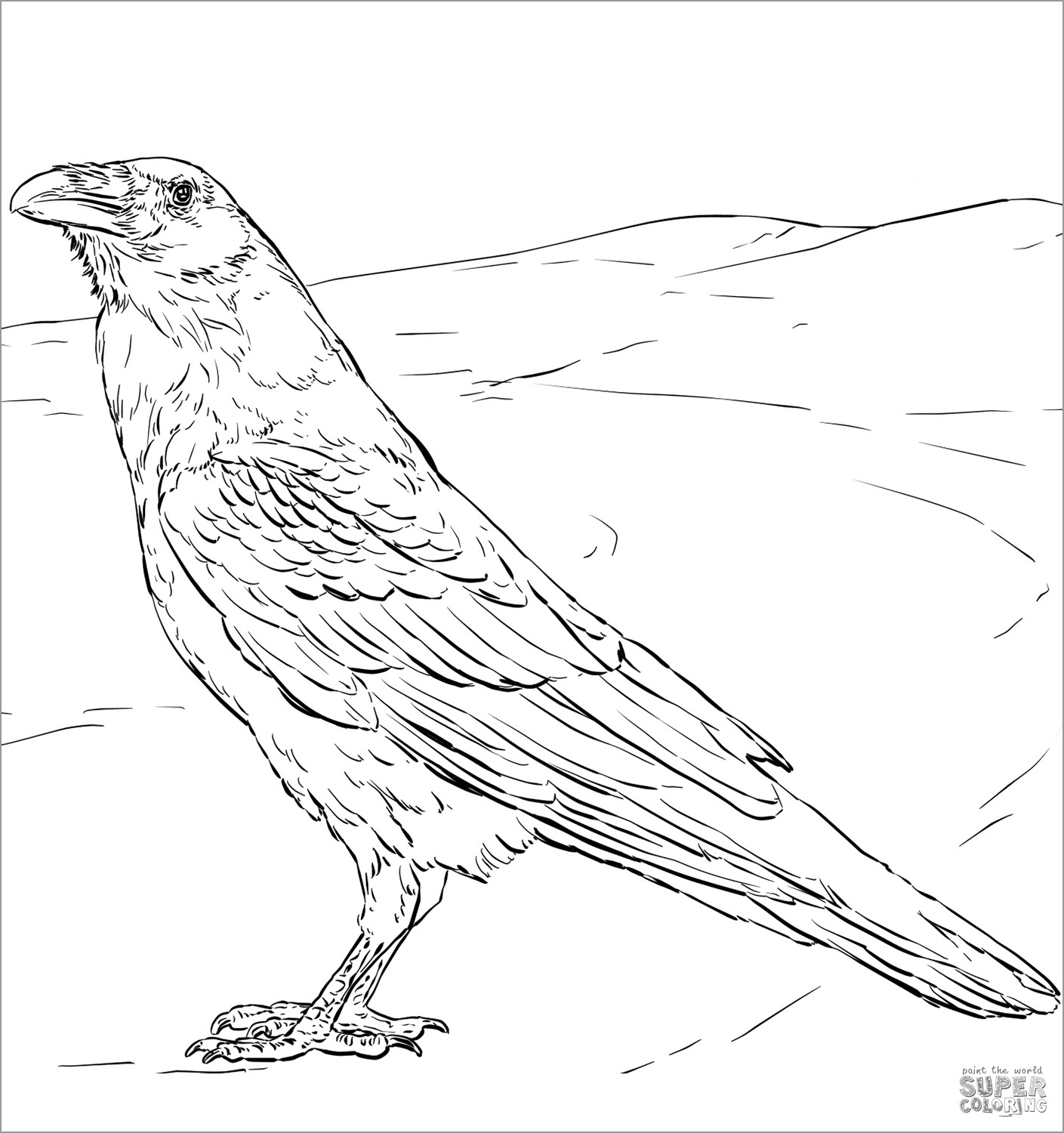 Raven Coloring Pages