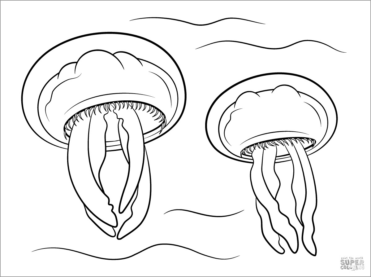Moon Jellyfishes Coloring Page to Print
