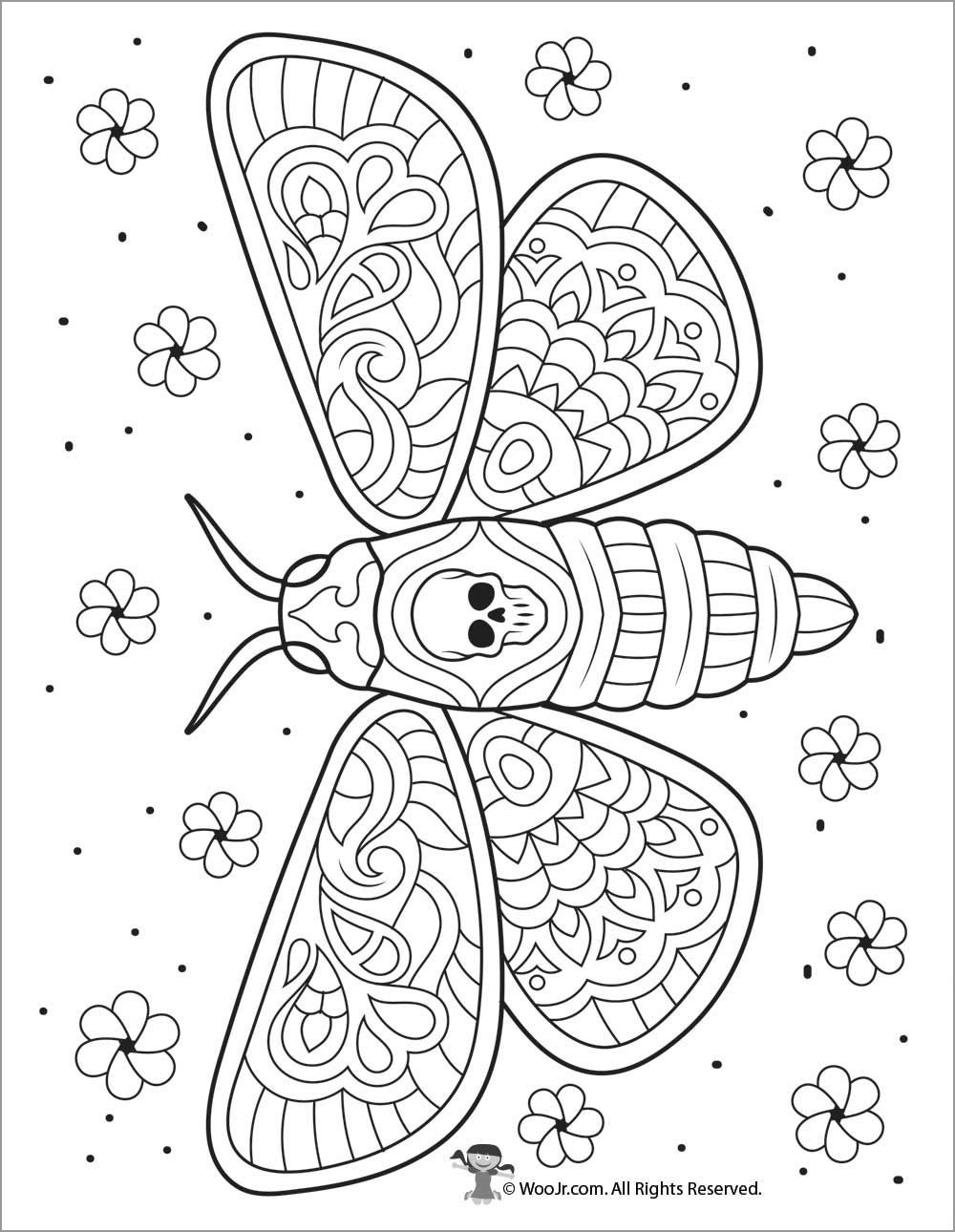 Moth Coloring Page for Adults