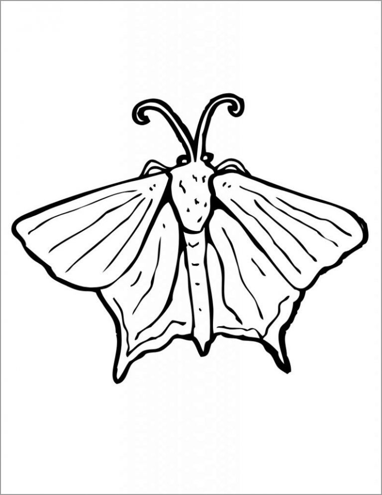 Moth Coloring Pages - ColoringBay
