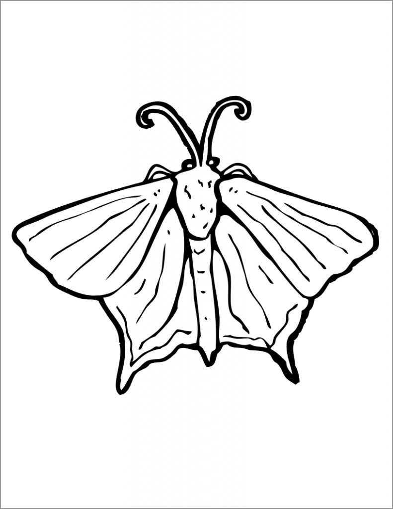 Moth Coloring Page for Kids