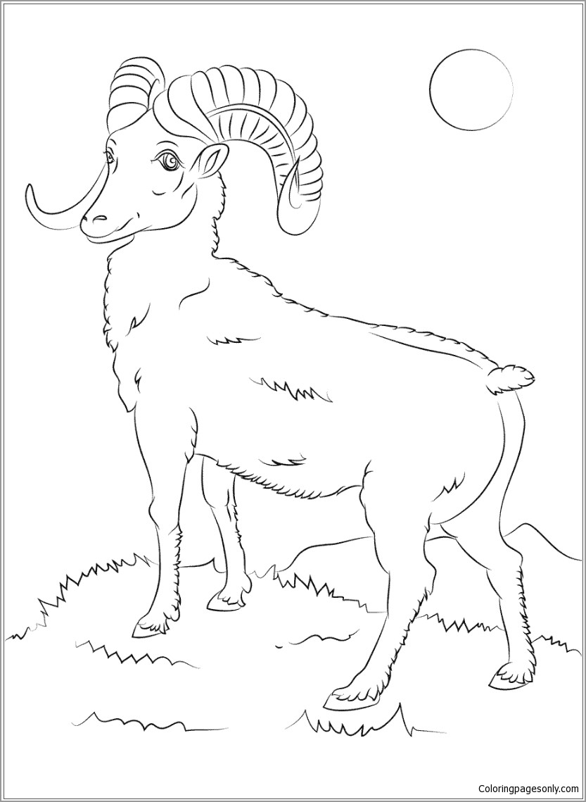 Mountain Bighorn Sheep Coloring Page