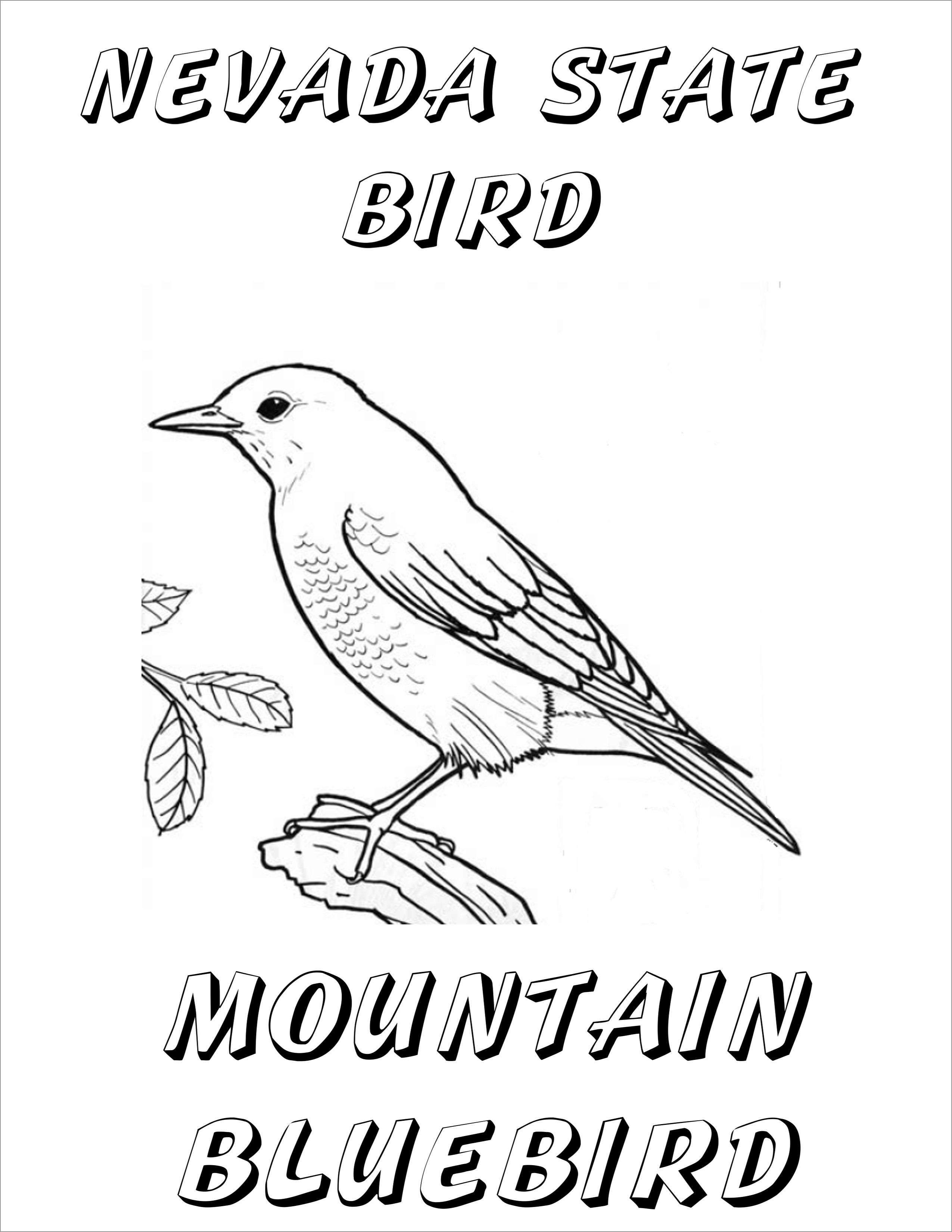 Nevada State Mountain Bluebird Coloring Page