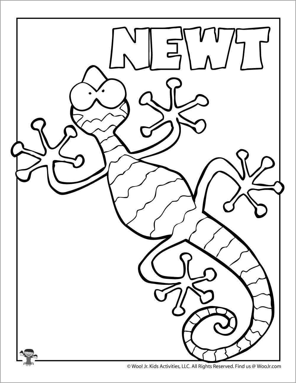 Newt Coloring Page for Kids