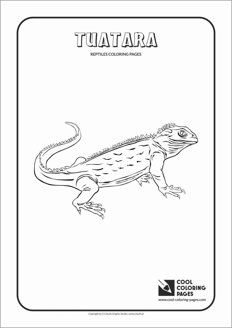 Newt Coloring Page to Print