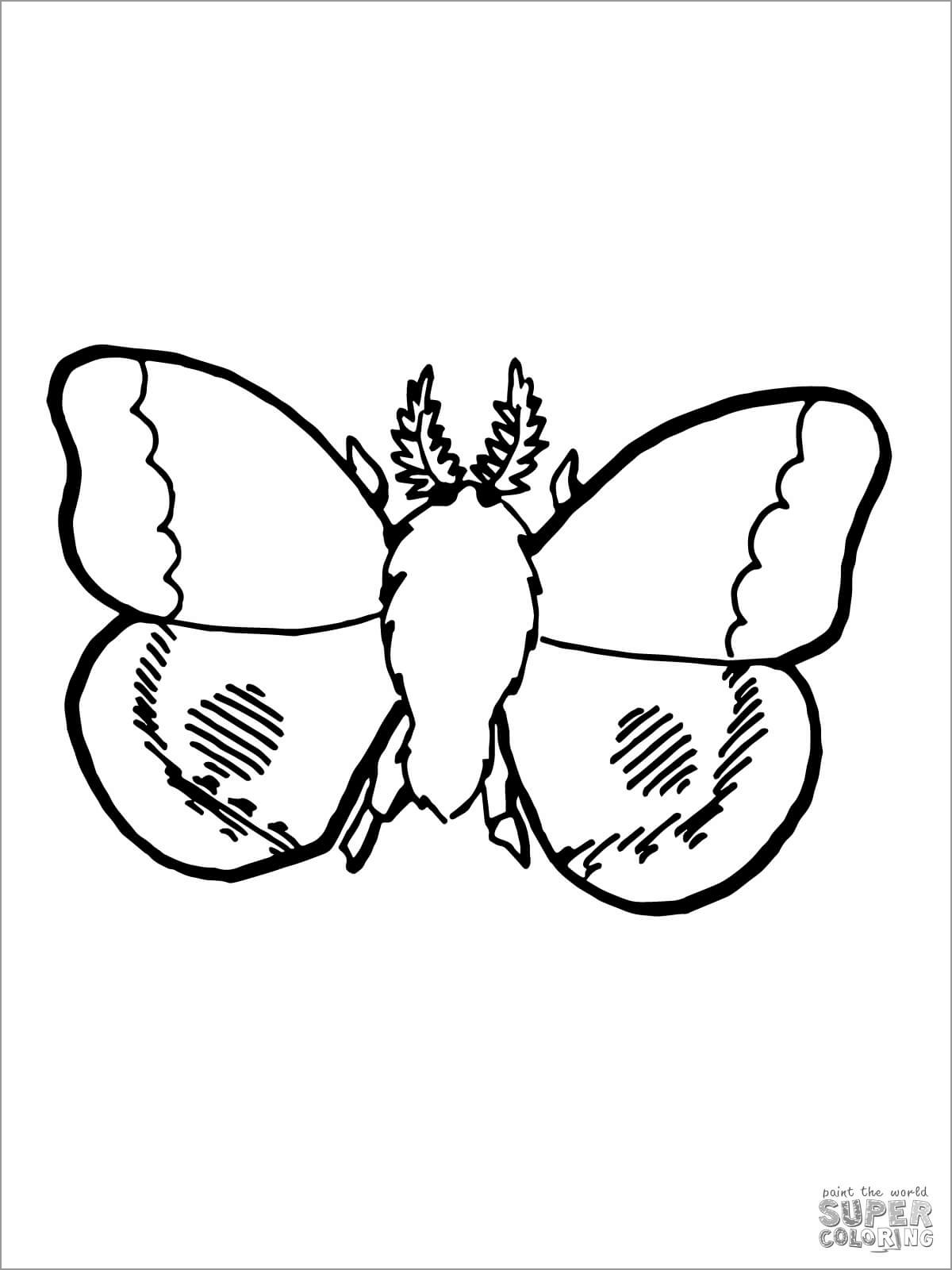Nocturnal Moth Coloring Page