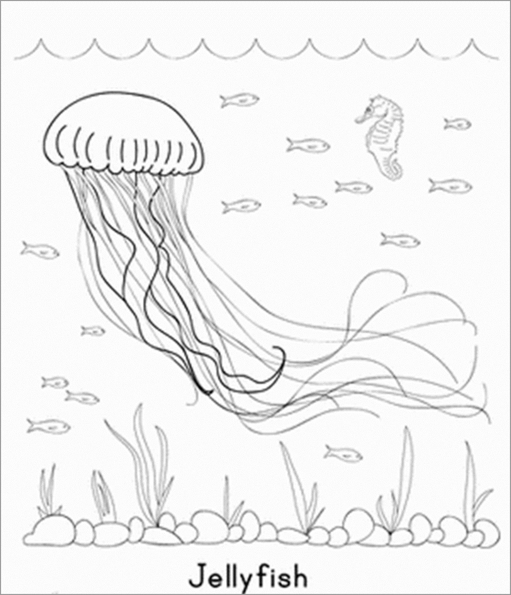 Ocean Jellyfish Coloring Page