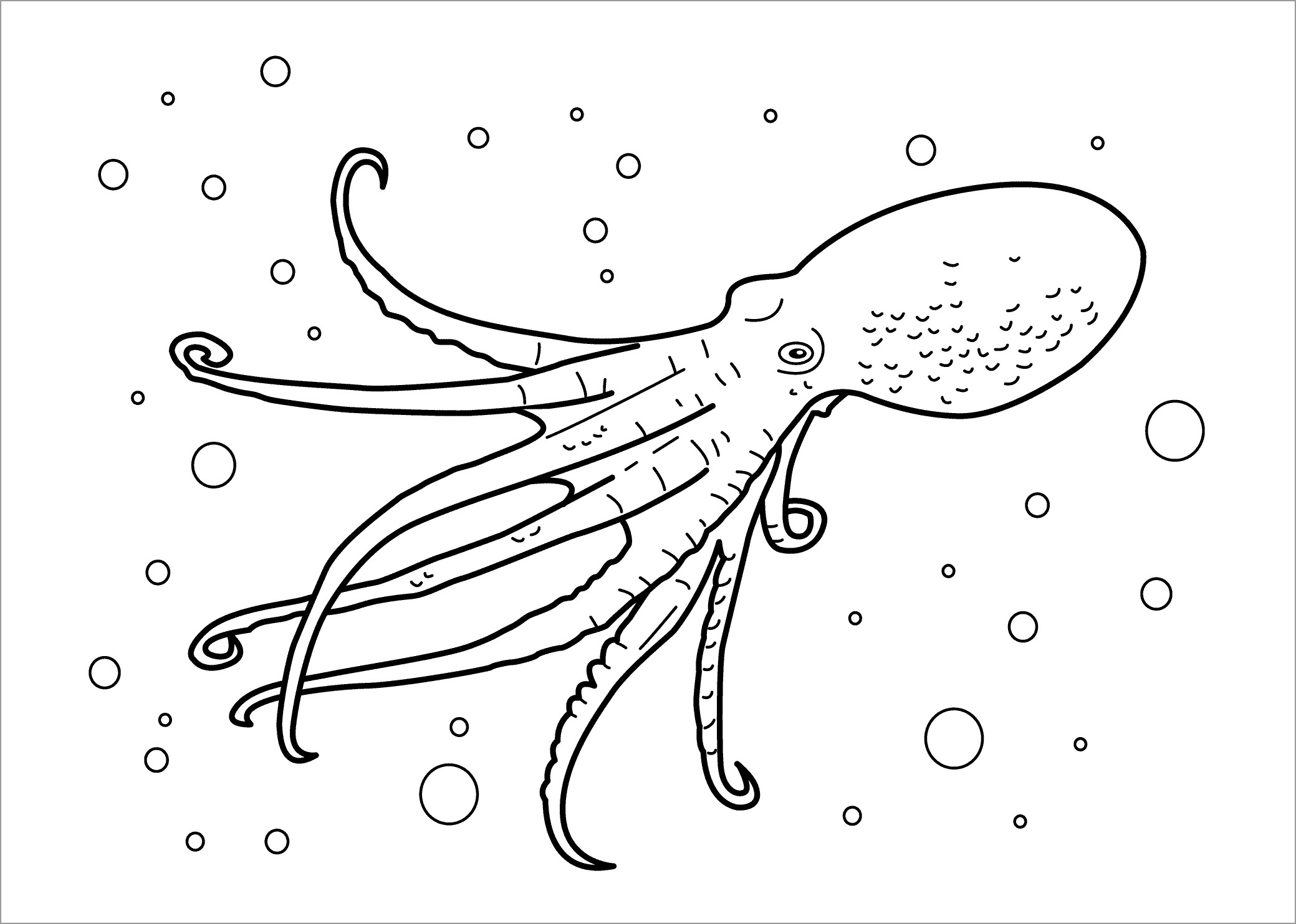 Octopus Aquatic Animals Coloring Page