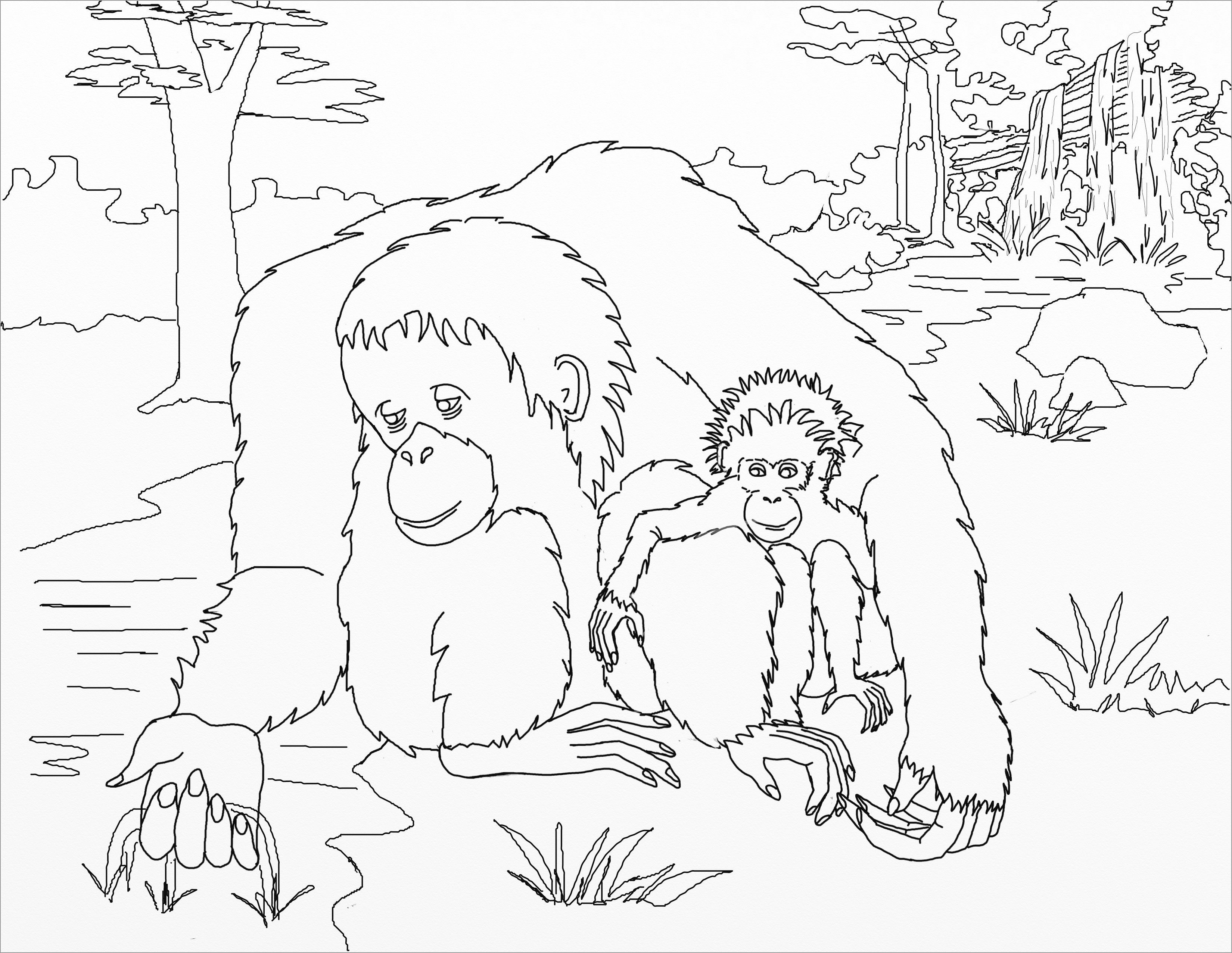 Orangutan Mom and Baby Coloring Page