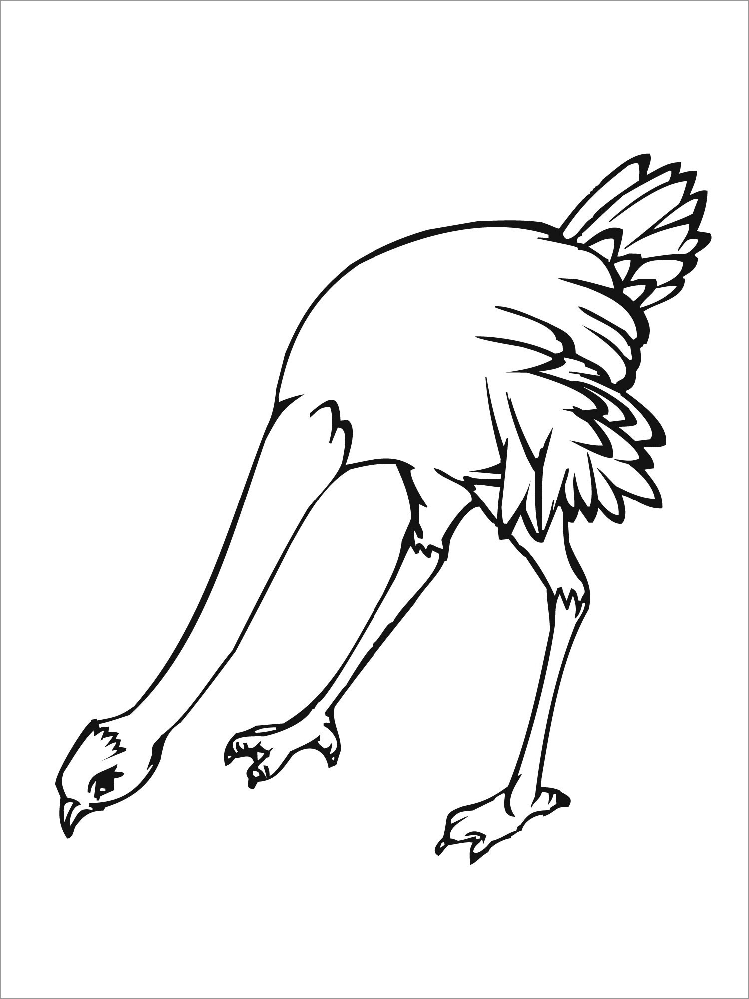 Ostrich Coloring Pages to Print