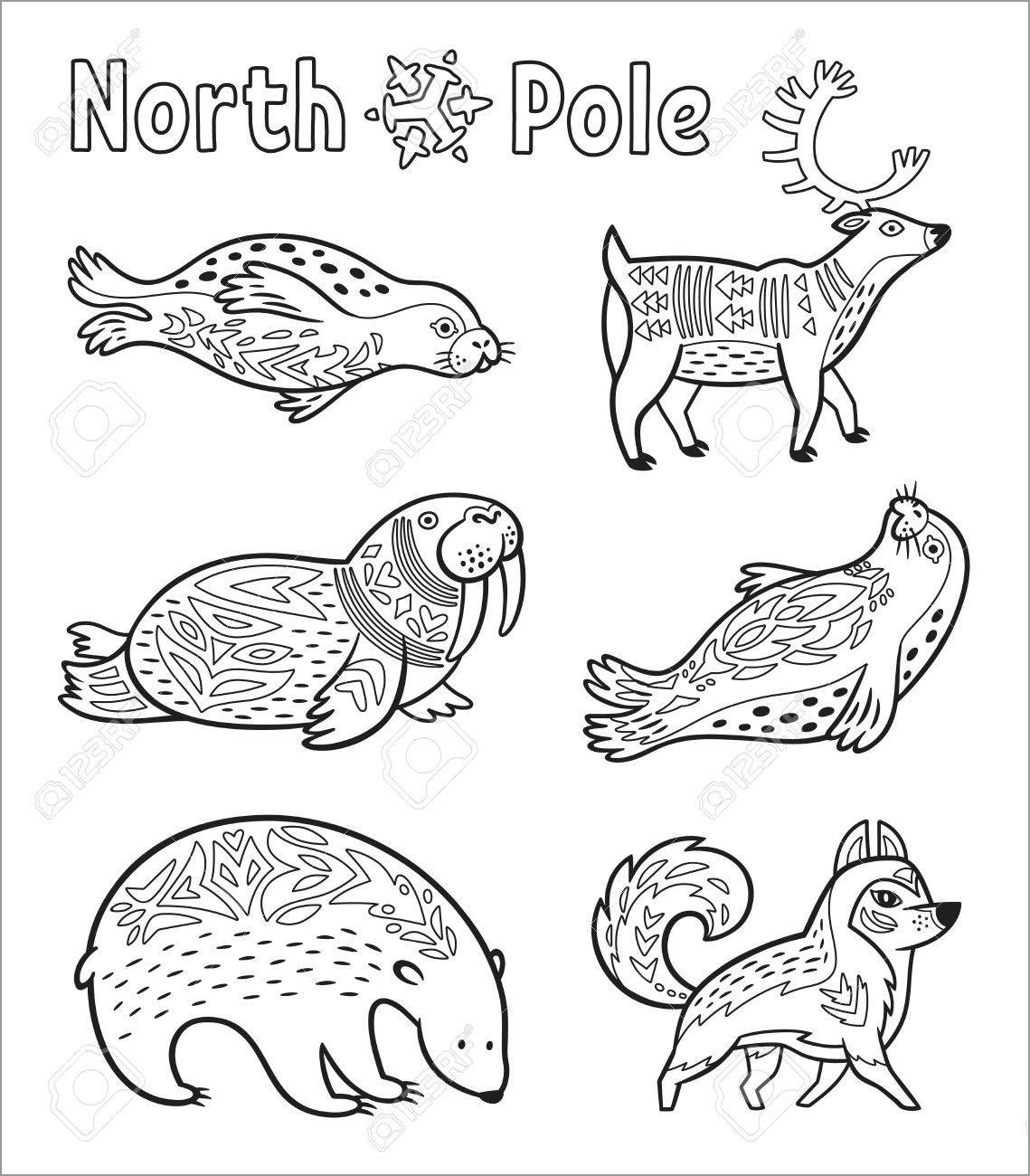 Outline Arctic Animals Coloring Page