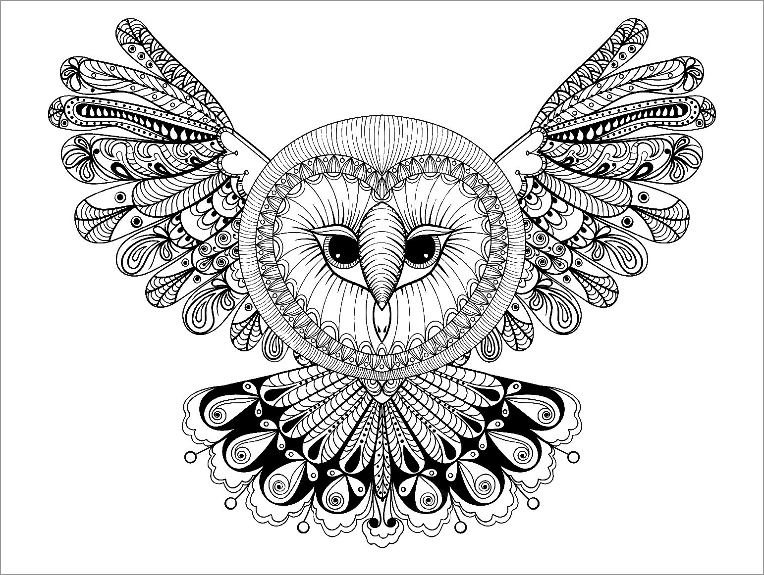 Owl Coloring Page for Adult
