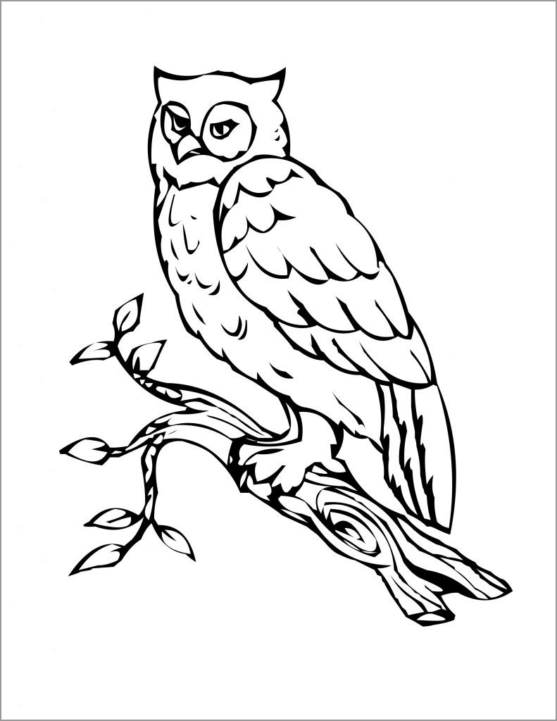 Owl Coloring Pages for toddlers
