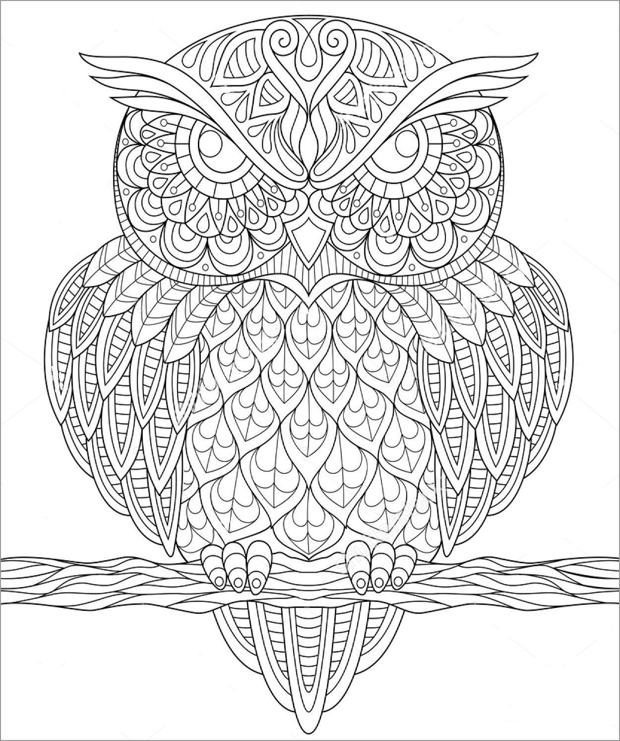 Owl Zentangle Coloring Page