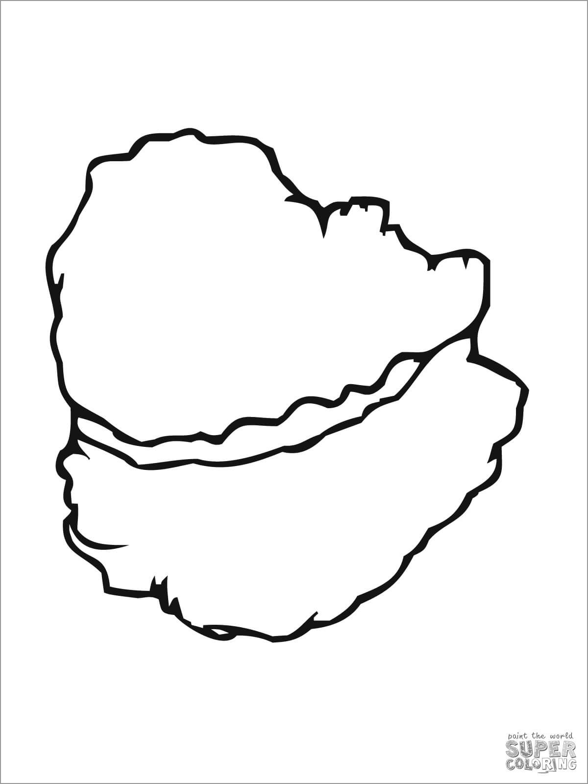 Oyster Shell Coloring Page