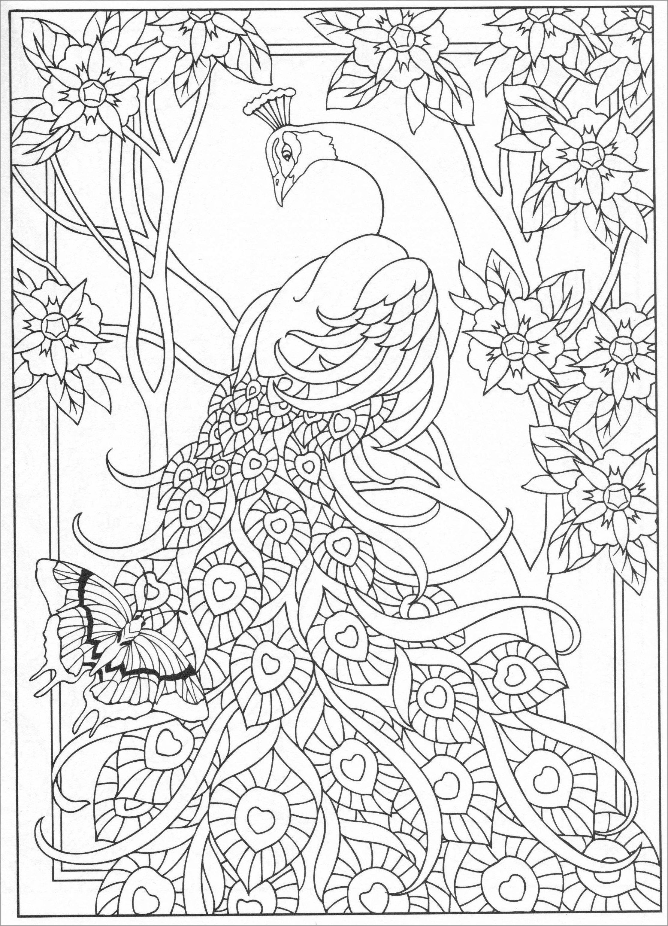 Peacock Coloring Pages for Adults